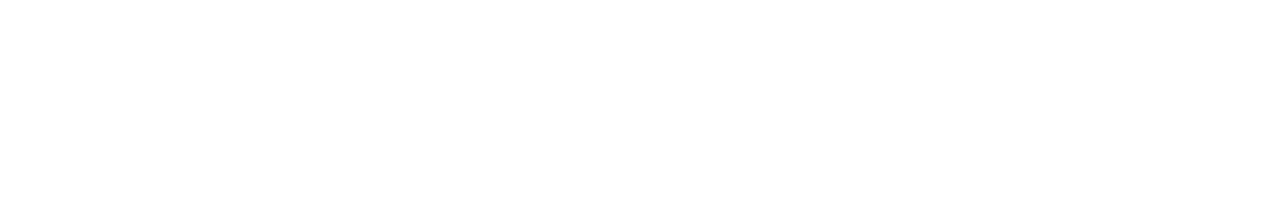 Shop MCP